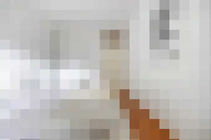 Meeuwerderweg 25 Groningen thumbnail 24