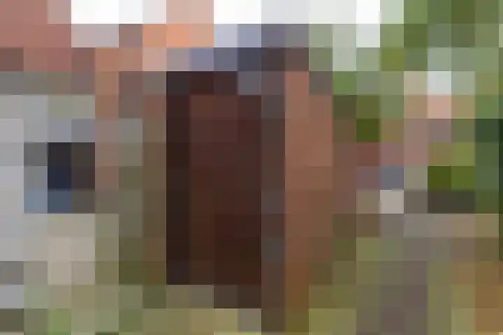 Meeuwerderweg 25 Groningen thumbnail 31