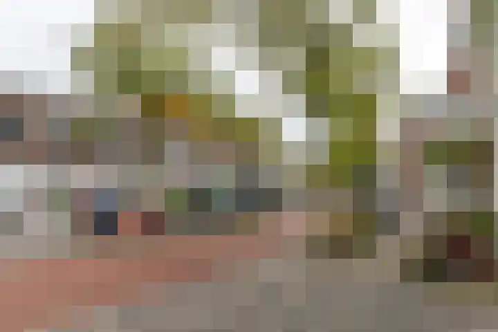 Meeuwerderweg 25 Groningen thumbnail 33