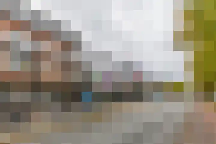 Meeuwerderweg 25 Groningen thumbnail 34