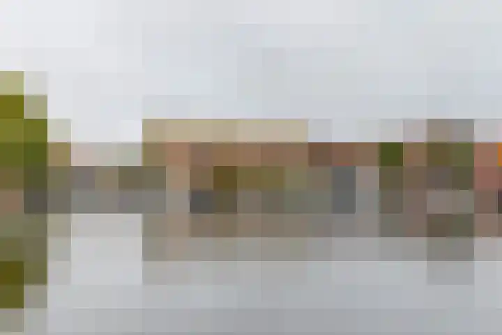 Meeuwerderweg 25 Groningen thumbnail 35