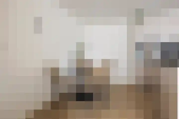 Meeuwerderweg 49 Groningen thumbnail 13