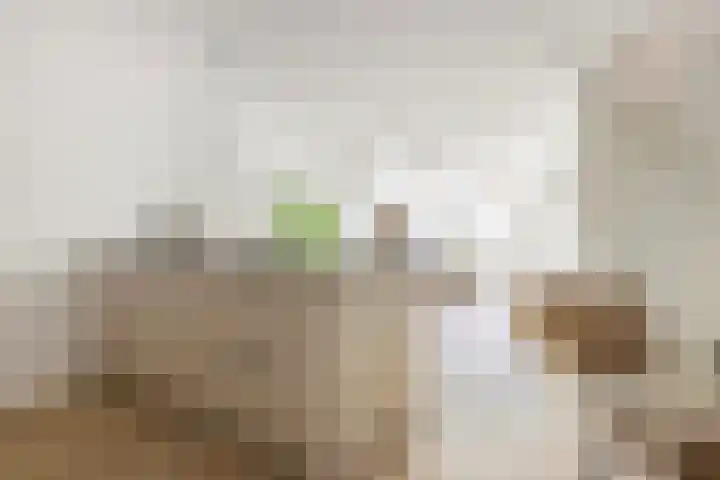 Meeuwerderweg 49 Groningen thumbnail 14