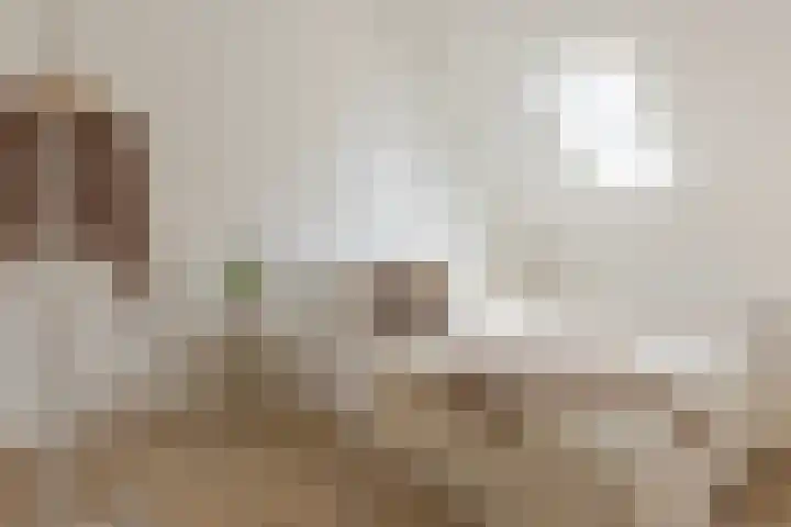 Meeuwerderweg 49 Groningen thumbnail 24