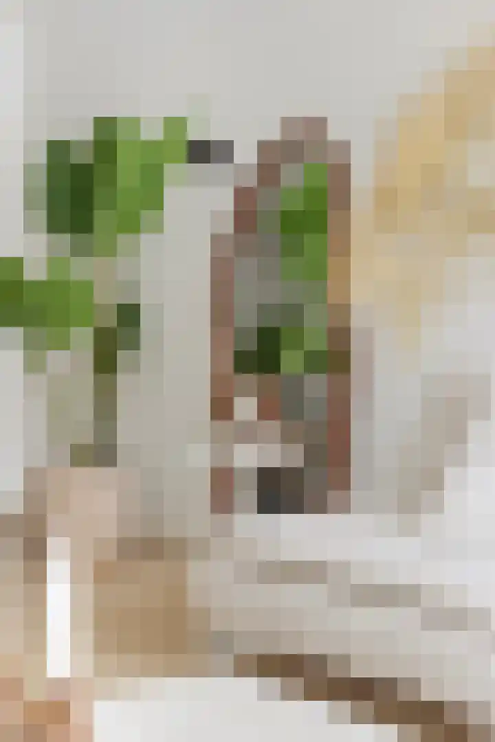 Meeuwerderweg 49 Groningen thumbnail 7