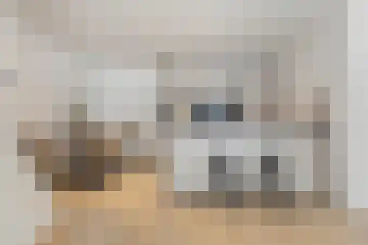 Meeuwerderweg 49 Groningen thumbnail 9