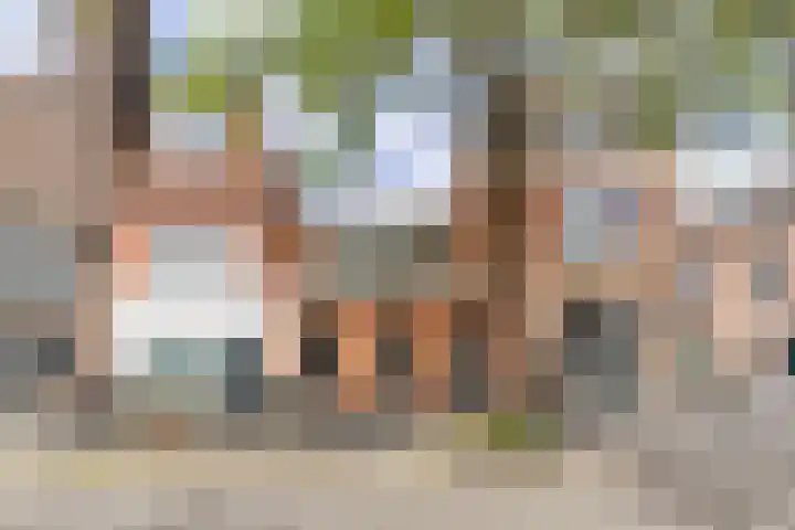Meeuwerderweg 71 Groningen thumbnail 4