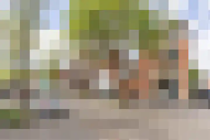 Meeuwerderweg 71 Groningen thumbnail 5