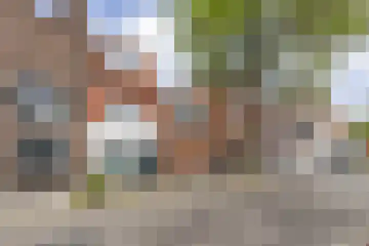 Meeuwerderweg 71 Groningen thumbnail 7