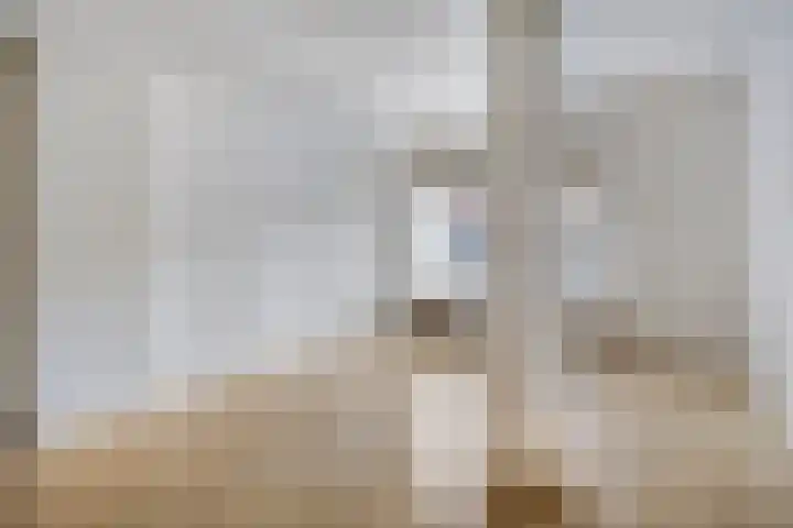 Meeuwerderweg 75 1 Groningen thumbnail 6