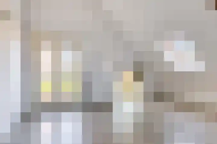 Meeuwerderweg 75 12 Groningen thumbnail 4
