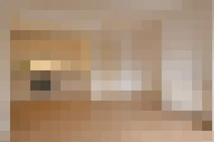 Meeuwerderweg 75 2 Groningen thumbnail 4