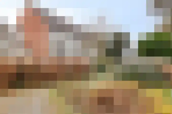 Meeuwerderweg 75 21 Groningen thumbnail 16