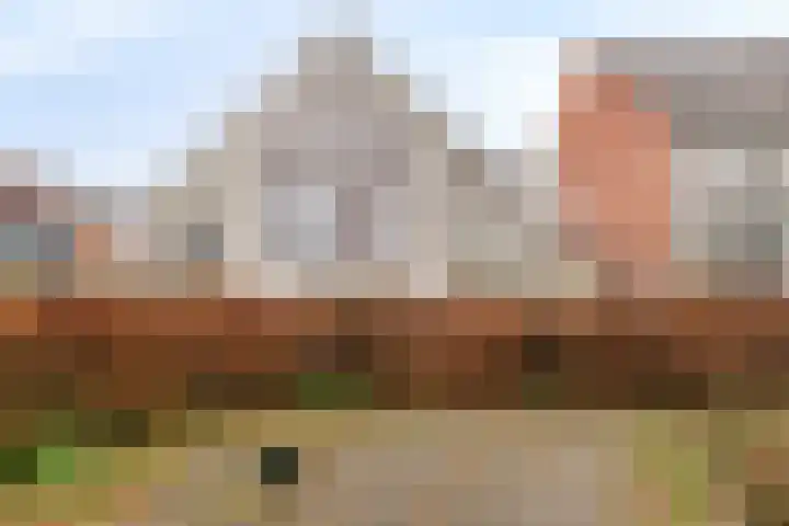 Meeuwerderweg 75 21 Groningen thumbnail 17
