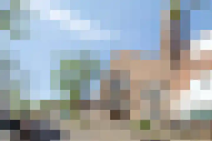 Meeuwerderweg 75 3 Groningen thumbnail 23