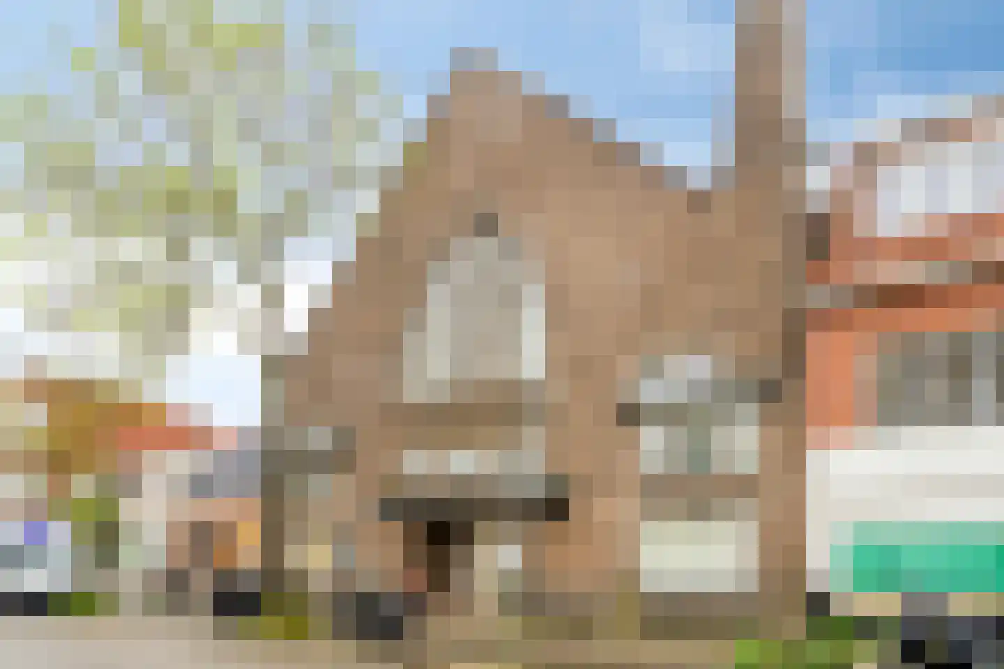 Meeuwerderweg 75 5 Groningen thumbnail 25