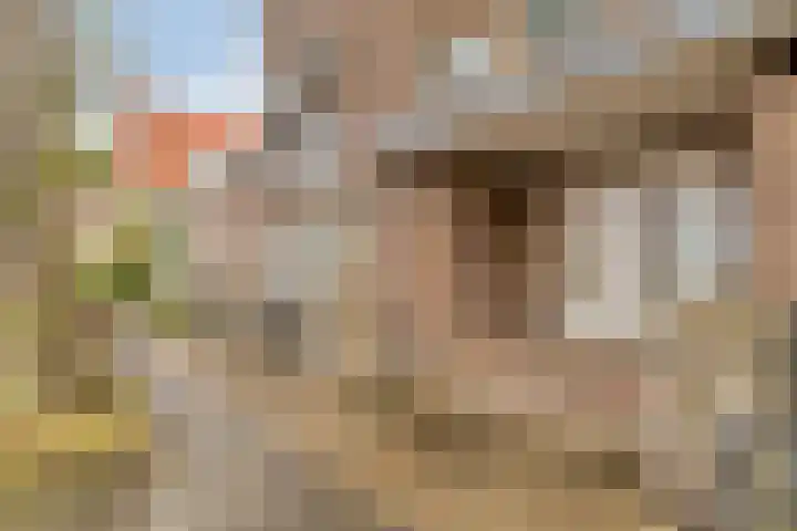 Meeuwerderweg 75 7 Groningen thumbnail 26
