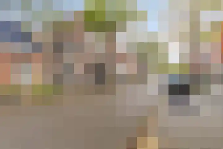Meeuwerderweg 75 7 Groningen thumbnail 29