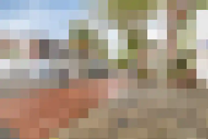 Meeuwerderweg 75 7 Groningen thumbnail 30