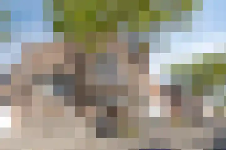 Meeuwerderweg 75 9 Groningen thumbnail 14