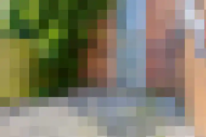 Meeuwerderweg 83 Groningen thumbnail 23
