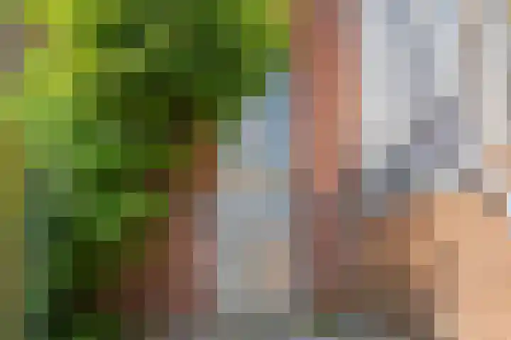 Meeuwerderweg 83 Groningen thumbnail 25