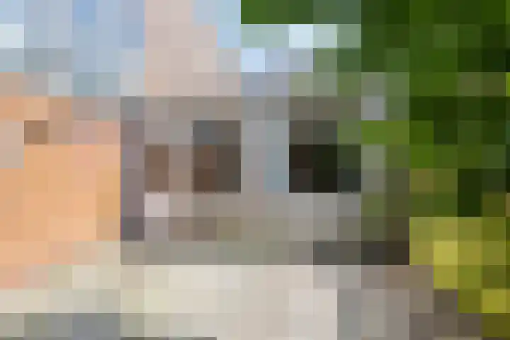 Meeuwerderweg 83 Groningen thumbnail 26