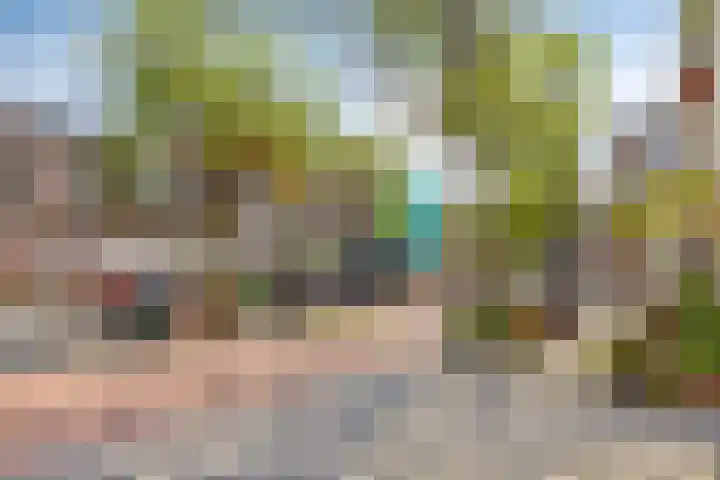 Meeuwerderweg 83 Groningen thumbnail 29