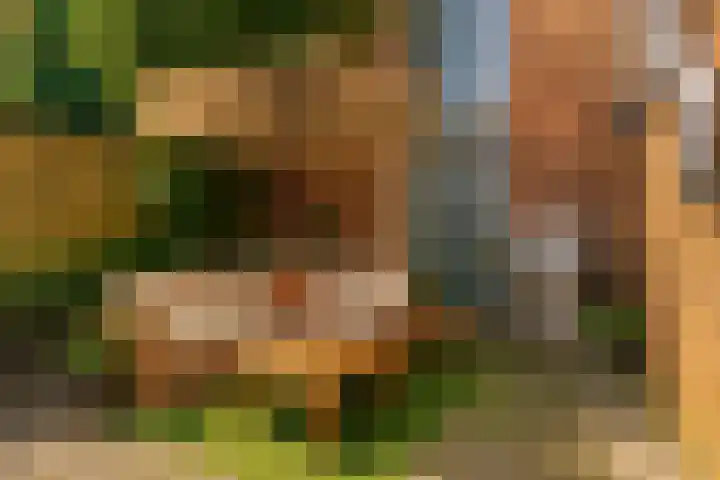 Meeuwerderweg 83 Groningen thumbnail 5