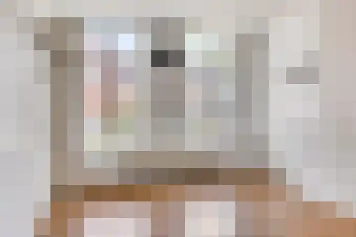 Meeuwerderweg 83 Groningen thumbnail 7