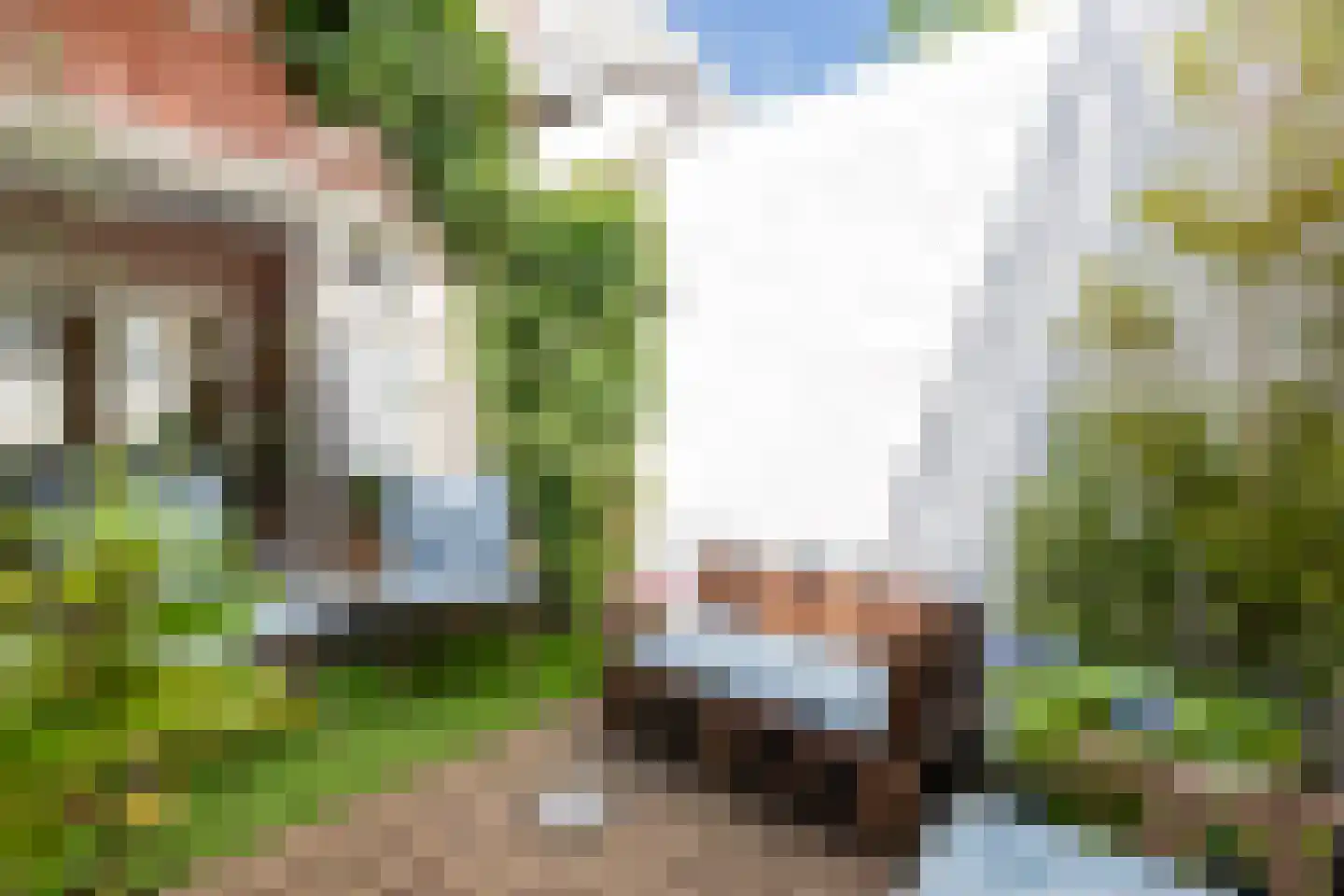 Meeuwerderweg 84 Groningen thumbnail 15