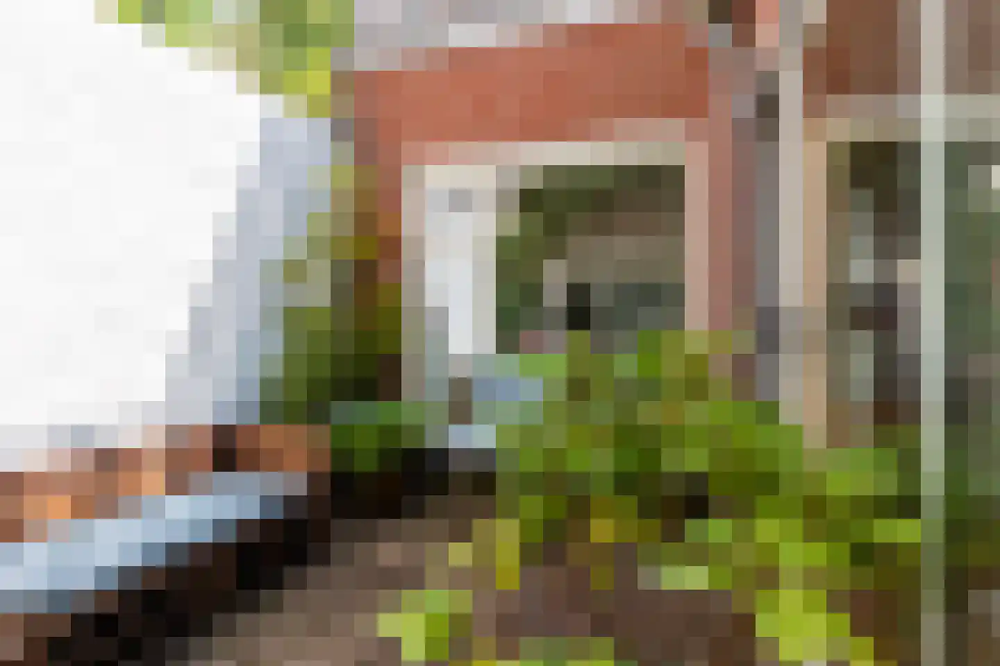 Meeuwerderweg 84 Groningen thumbnail 16