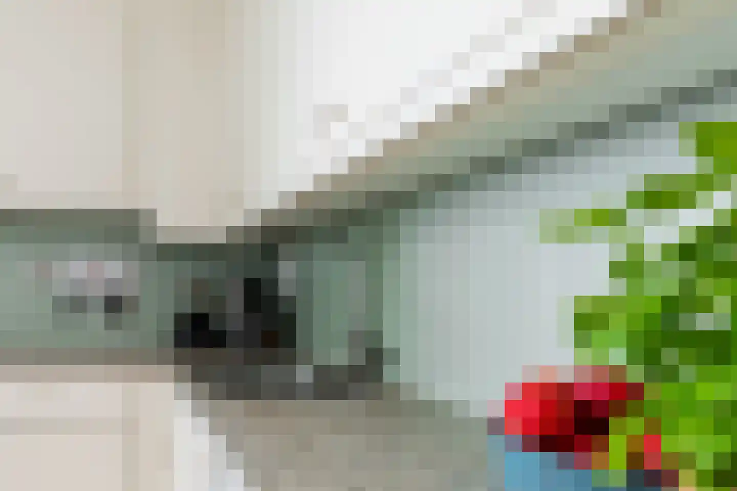 Meeuwerderweg 84 Groningen thumbnail 19