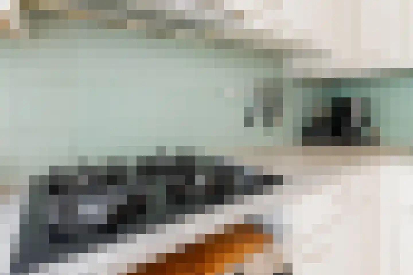 Meeuwerderweg 84 Groningen thumbnail 20