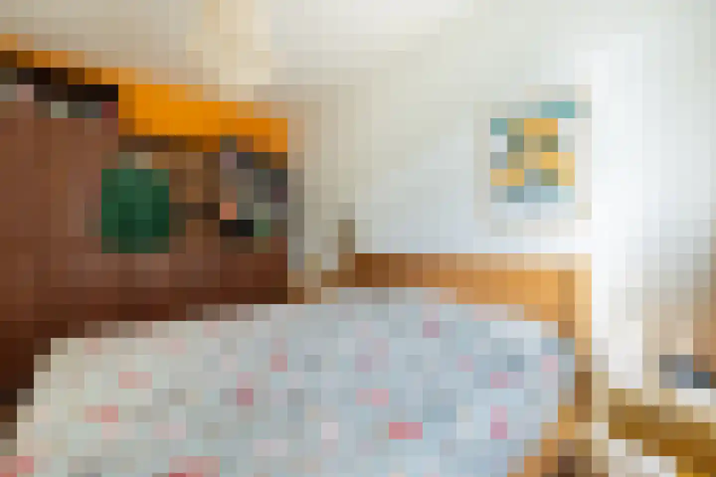 Meeuwerderweg 84 Groningen thumbnail 31