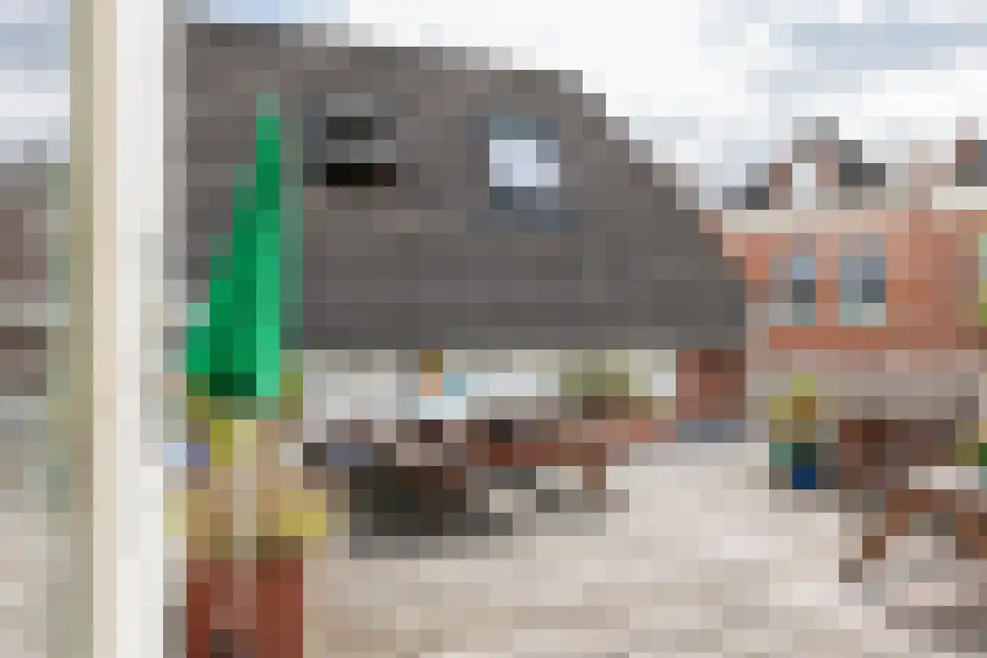 Meeuwerderweg 84 Groningen thumbnail 42