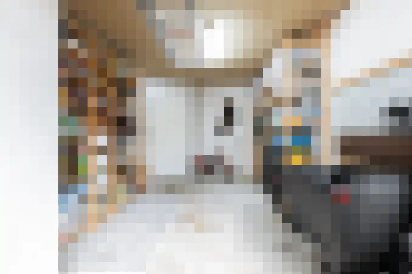 Meeuwerderweg 84 Groningen thumbnail 48