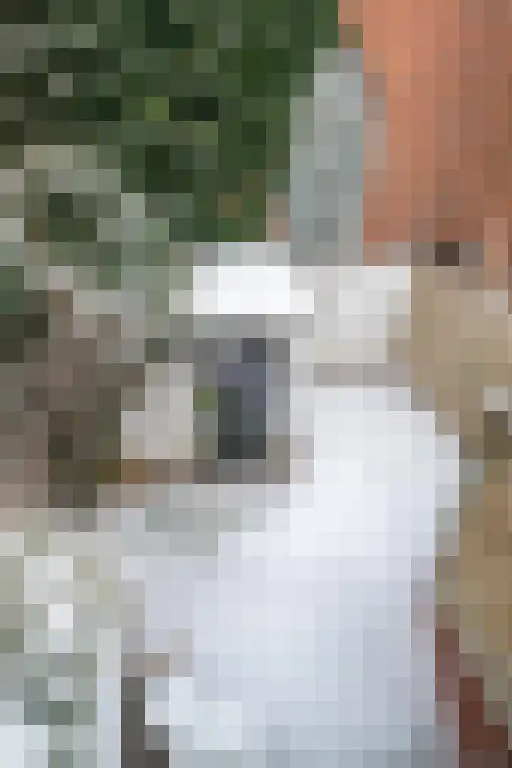 Meeuwerderweg 85 Groningen thumbnail 19