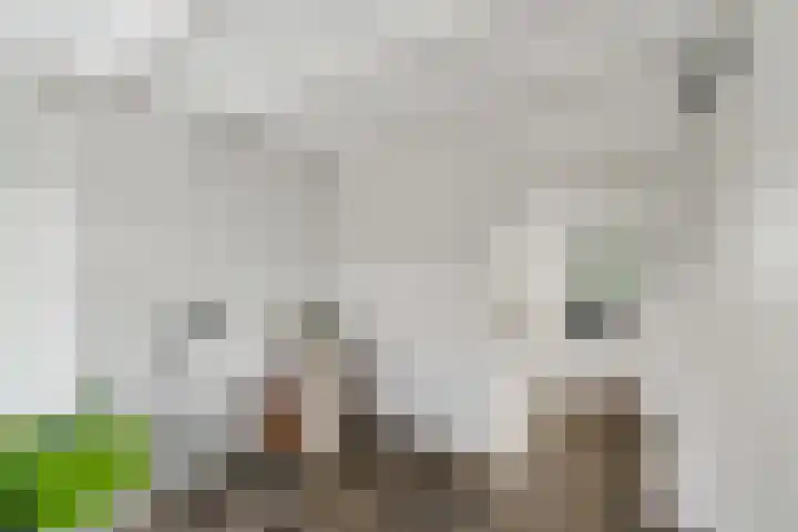 Meeuwerderweg 85 Groningen thumbnail 20
