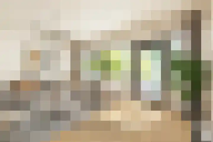 Meeuwstraat 120 Purmerend thumbnail 12