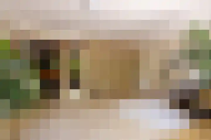 Meeuwstraat 120 Purmerend thumbnail 13