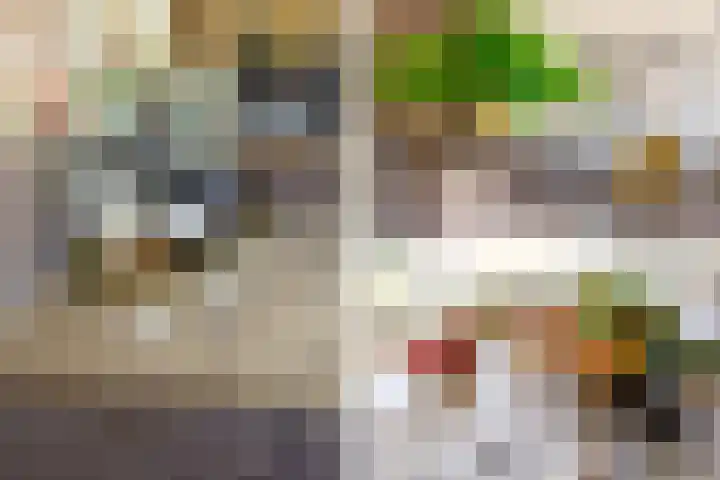 Meeuwstraat 120 Purmerend thumbnail 23