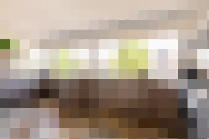 Meeuwstraat 120 Purmerend thumbnail 24
