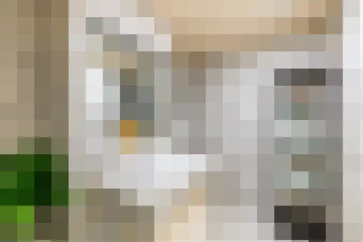 Meeuwstraat 120 Purmerend thumbnail 40