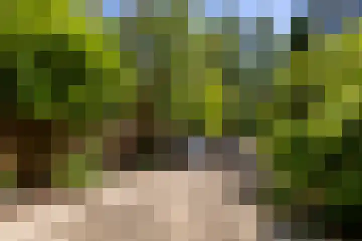 Meeuwstraat 120 Purmerend thumbnail 42