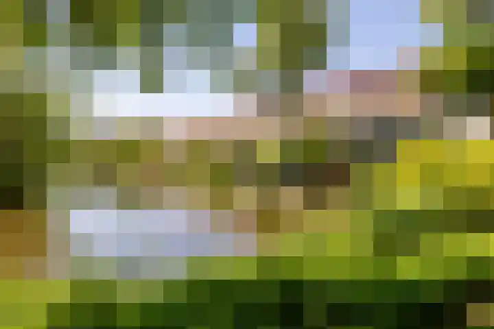 Meeuwstraat 120 Purmerend thumbnail 51