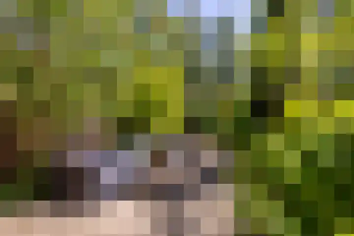 Meeuwstraat 120 Purmerend thumbnail 6