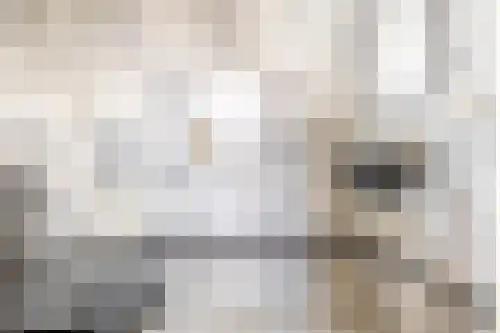 Meeuwstraat 126 Purmerend thumbnail 31