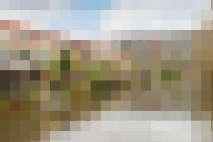 Meeuwstraat 126 Purmerend thumbnail 41