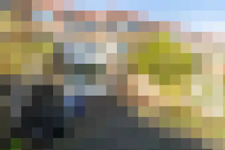 Meeuwstraat 126 Purmerend thumbnail 5